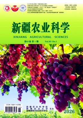 新疆农业科学封面